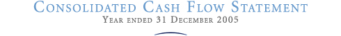 Consolidated Cash Flow Statement year ended 31 December 2005